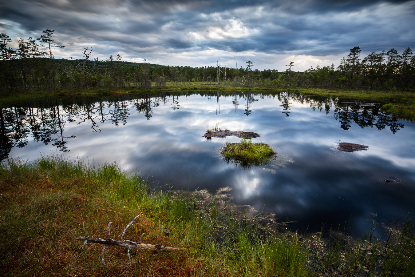 Knuthöjdsmossen - Foto: Viktor Sundberg