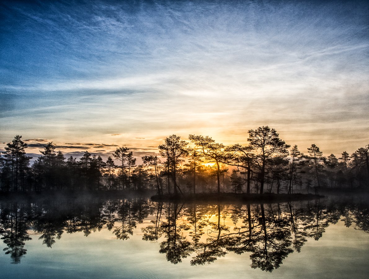 Knuthöjdsmossen - Foto: Viktor Sundberg