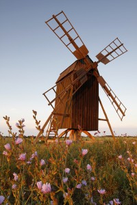 Blommor och kvarnar i Lerkaka