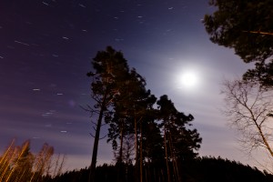 Stjärnor i rörelse