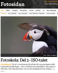 Artikel del 3 på Fotosidan.se Artikel del 3 på Fotosidan.se