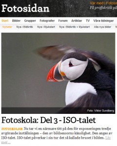 Artikel del 3 på Fotosidan.se