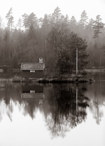 Sött hus i svartvitt