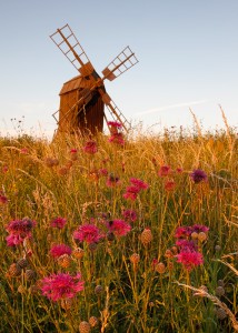 Kvarn, Öland - Foto: Viktor Sundberg