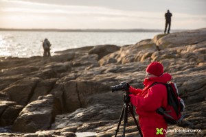 Utspridda på klipporna