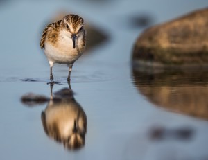 Are you talking to me? - Foto: Viktor Sundberg