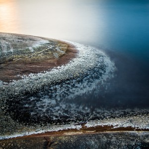 Havstulpaner - Foto: Viktor Sundberg