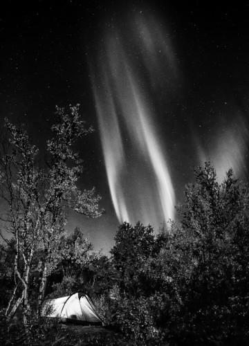 Norrsken i svartvitt - Foto: Viktor Sundberg